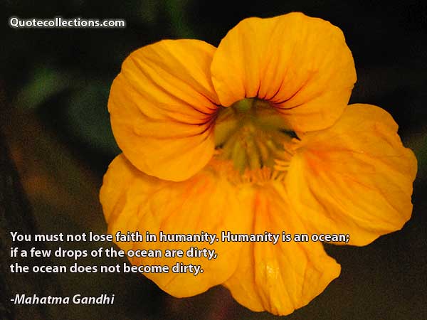 Mahatma Gandhi Quotes4